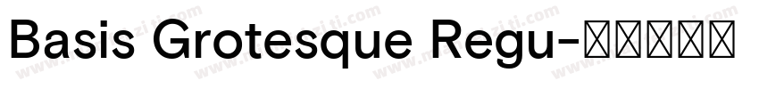 Basis Grotesque Regu字体转换
